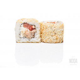 Toledo Maki (8+8 gb.)